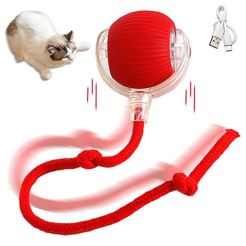 PELOTA INTERACTIVA PARA PERROS Y GATOS
