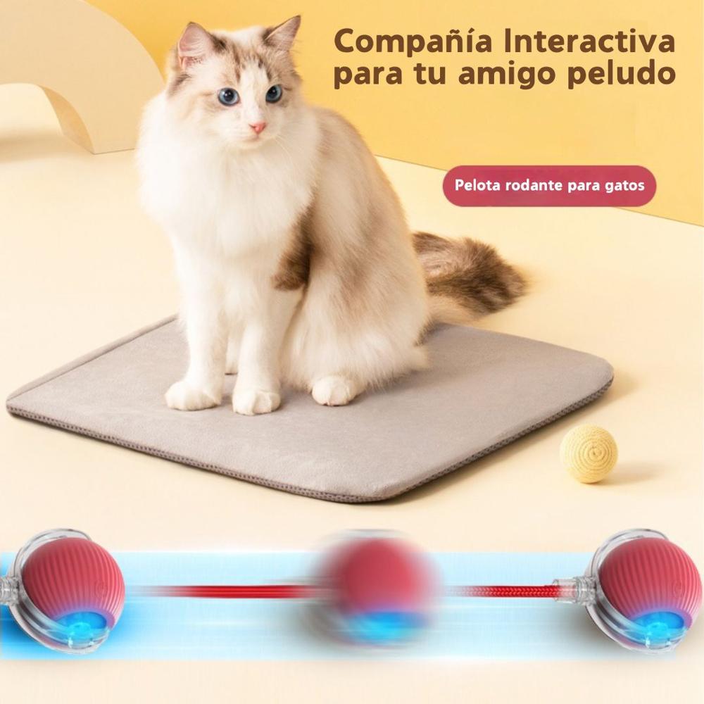 PELOTA INTERACTIVA PARA PERROS Y GATOS