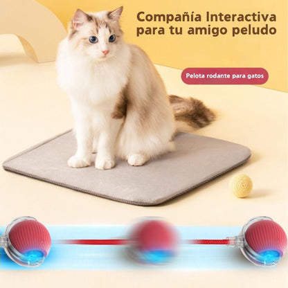 PELOTA INTERACTIVA PARA PERROS Y GATOS