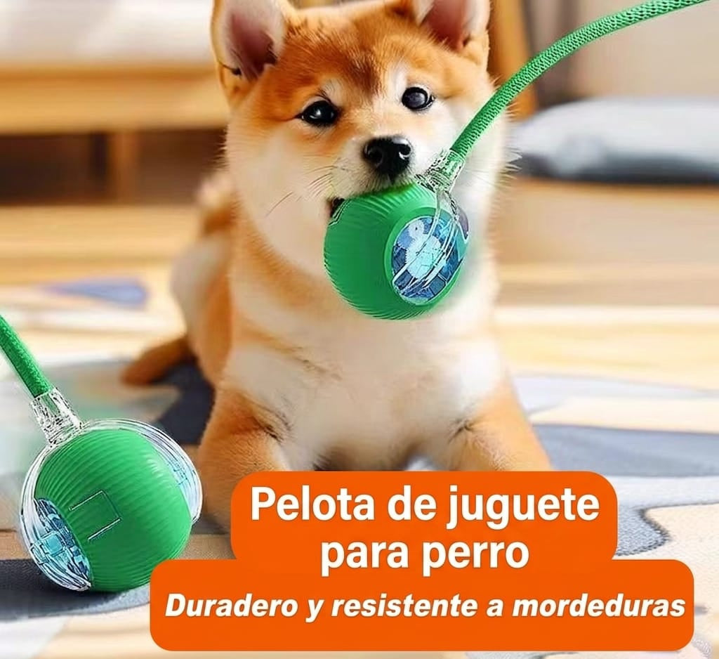 PELOTA INTERACTIVA PARA PERROS Y GATOS